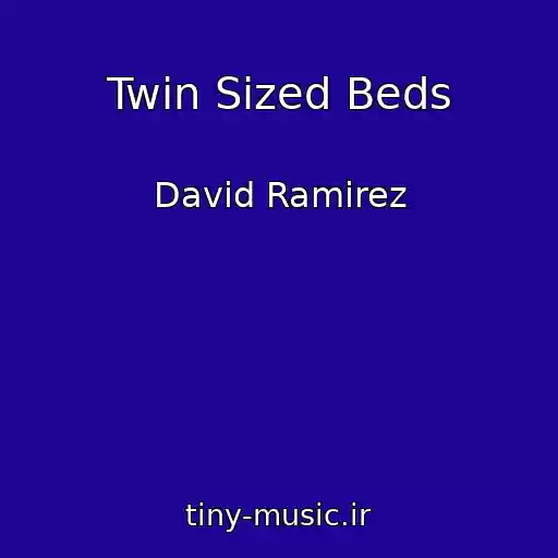 کاور آهنگ Twin Sized Beds از David Ramirez