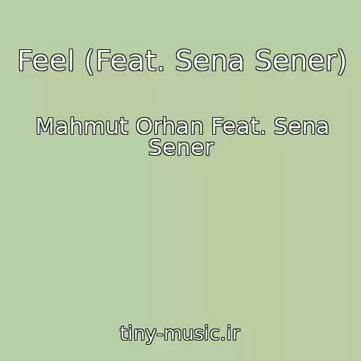 کاور آهنگ Feel (Feat. Sena Sener) از Mahmut Orhan Feat. Sena Sener