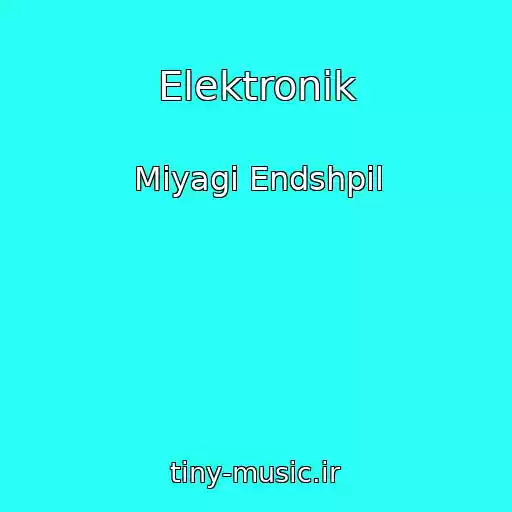 کاور آهنگ Elektronik از Miyagi Endshpil