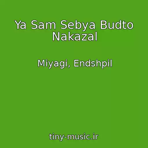 کاور آهنگ Ya Sam Sebya Budto Nakazal از Miyagi, Endshpil