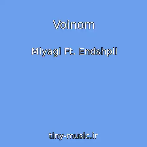 کاور آهنگ Voinom از Miyagi Ft. Endshpil