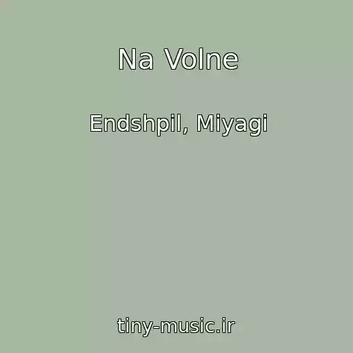 کاور آهنگ Na Volne از Endshpil, Miyagi
