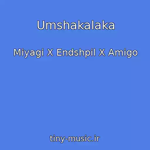 کاور آهنگ Umshakalaka از Miyagi X Endshpil X Amigo