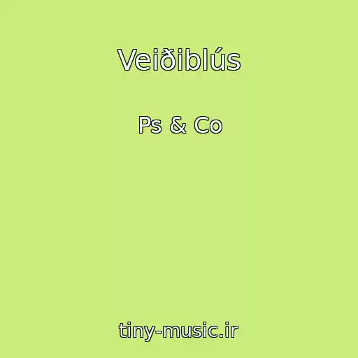 کاور آهنگ Veiðiblús از Ps & Co