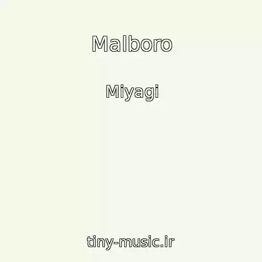 کاور آهنگ Malboro از Miyagi