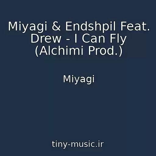 کاور آهنگ Miyagi & Endshpil Feat. Drew - I Can Fly (Alchimi Prod.) از Miyagi