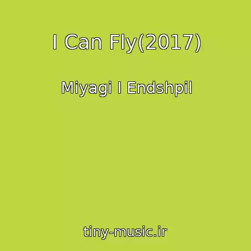 کاور آهنگ I Can Fly(2017) از Miyagi I Endshpil