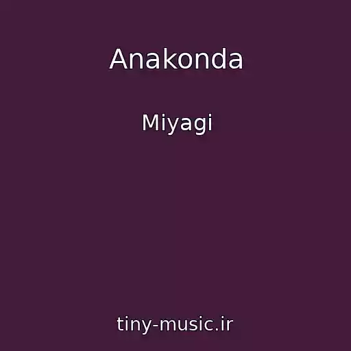 کاور آهنگ Anakonda از Miyagi