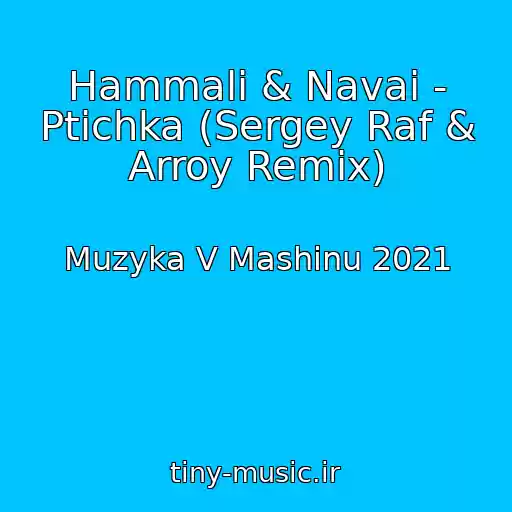 کاور آهنگ Hammali & Navai - Ptichka (Sergey Raf & Arroy Remix) از Muzyka V Mashinu 2021