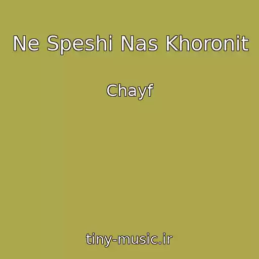 کاور آهنگ Ne Speshi Nas Khoronit از Chayf