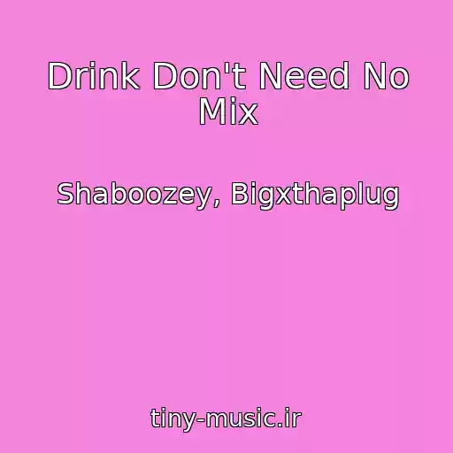 کاور آهنگ Drink Don't Need No Mix از Shaboozey, Bigxthaplug