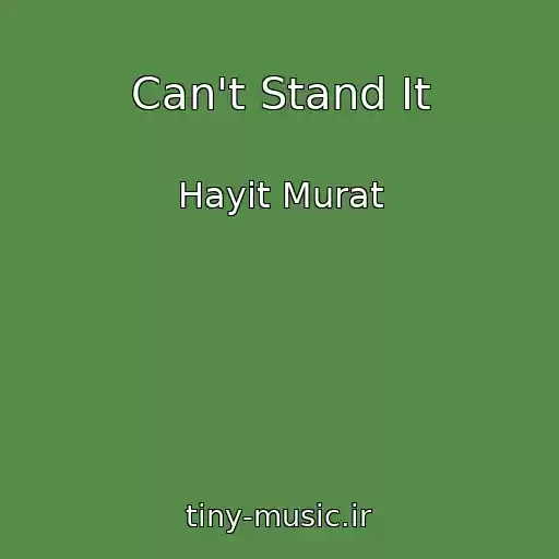 کاور آهنگ Can't Stand It از Hayit Murat
