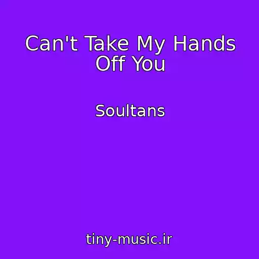 کاور آهنگ Can't Take My Hands Off You از Soultans
