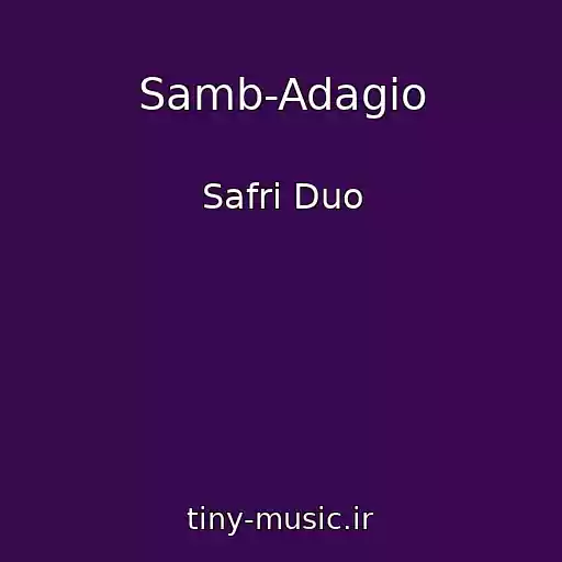 کاور آهنگ Samb-Adagio از Safri Duo