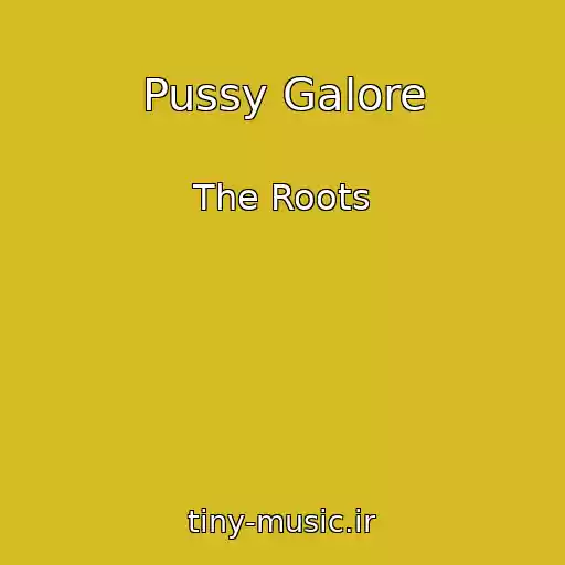 کاور آهنگ Pussy Galore از The Roots