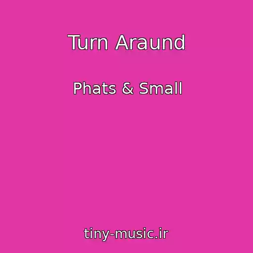 کاور آهنگ Turn Araund از Phats & Small