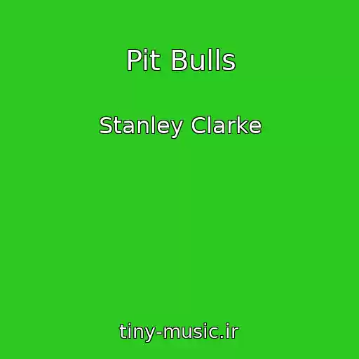 کاور آهنگ Pit Bulls از Stanley Clarke
