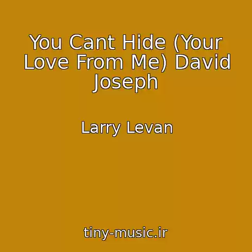 کاور آهنگ You Cant Hide (Your Love From Me) David Joseph از Larry Levan