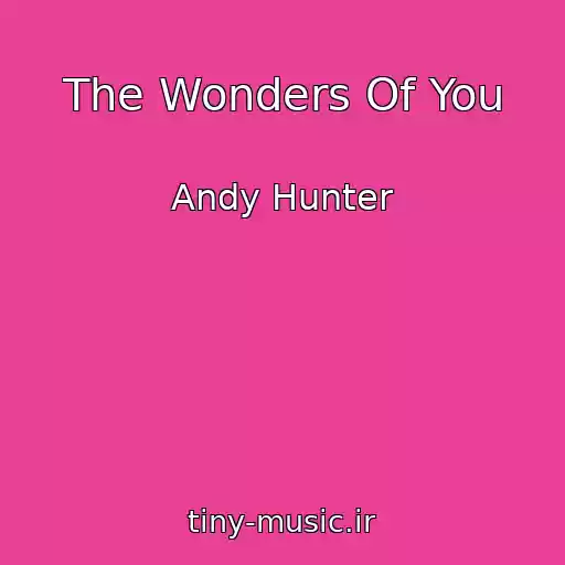 کاور آهنگ The Wonders Of You از Andy Hunter
