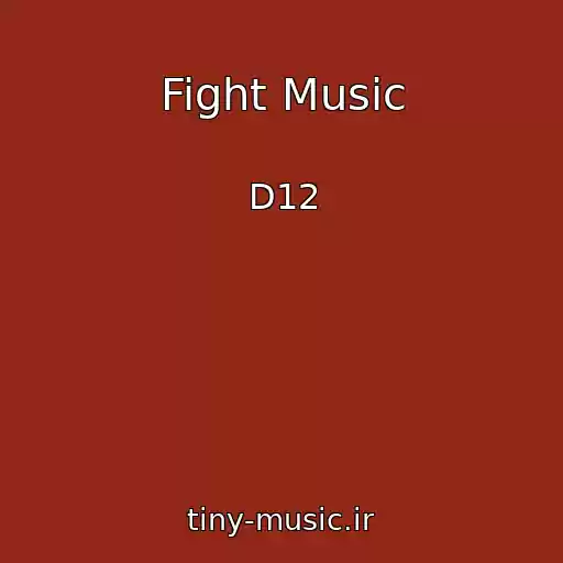 کاور آهنگ Fight Music از D12