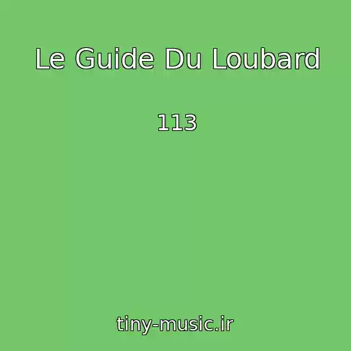کاور آهنگ Le Guide Du Loubard از 113