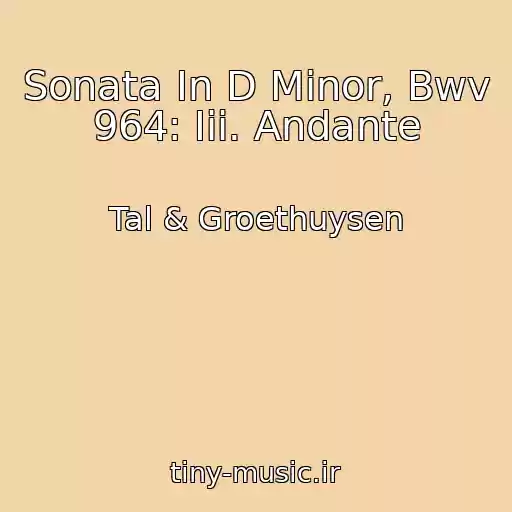 کاور آهنگ Sonata In D Minor, Bwv 964: Iii. Andante از Tal & Groethuysen