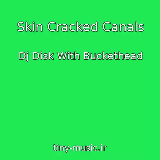 کاور آهنگ Skin Cracked Canals از Dj Disk With Buckethead
