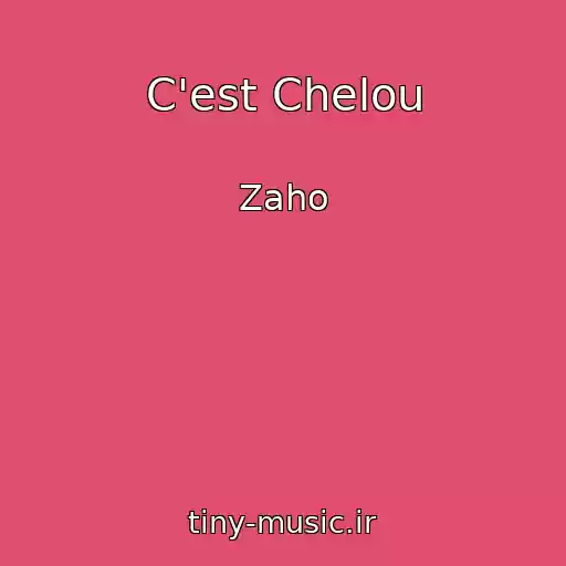 کاور آهنگ C'est Chelou از Zaho