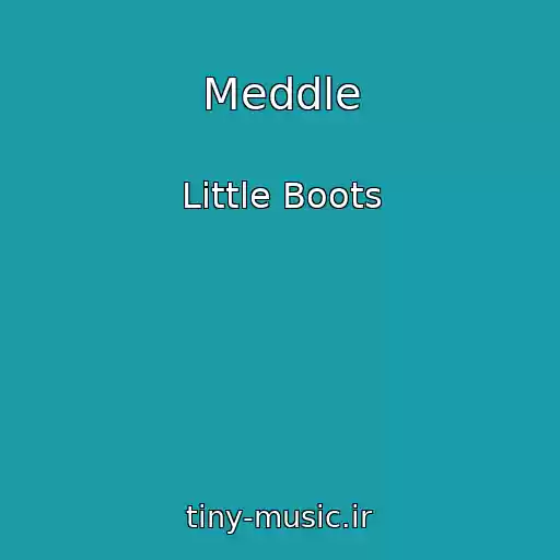 کاور آهنگ Meddle از Little Boots