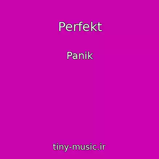 کاور آهنگ Perfekt از Panik