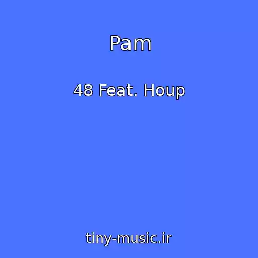 کاور آهنگ Pam از 48 Feat. Houp
