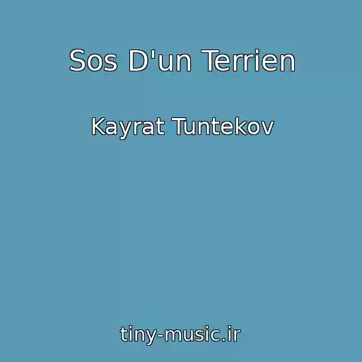 کاور آهنگ Sos D'un Terrien از Kayrat Tuntekov
