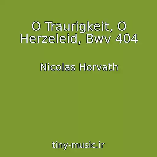 کاور آهنگ O Traurigkeit, O Herzeleid, Bwv 404 از Nicolas Horvath