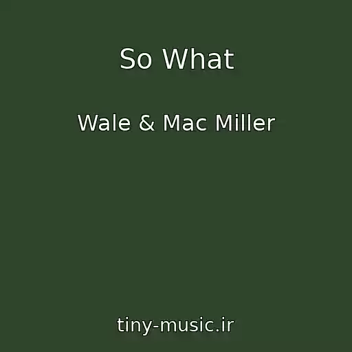 کاور آهنگ So What از Wale & Mac Miller