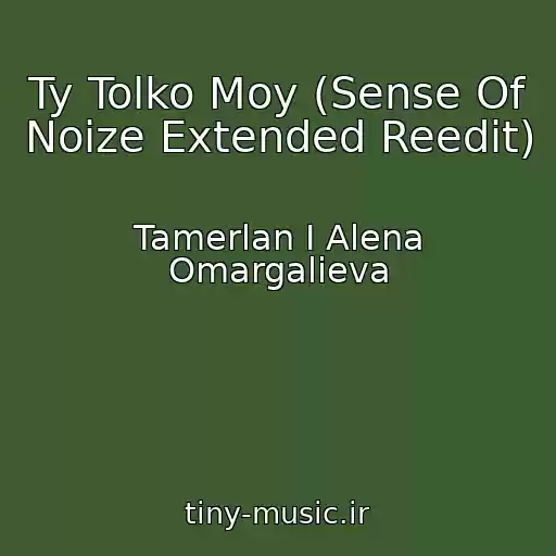 کاور آهنگ Ty Tolko Moy (Sense Of Noize Extended Reedit) از Tamerlan I Alena Omargalieva