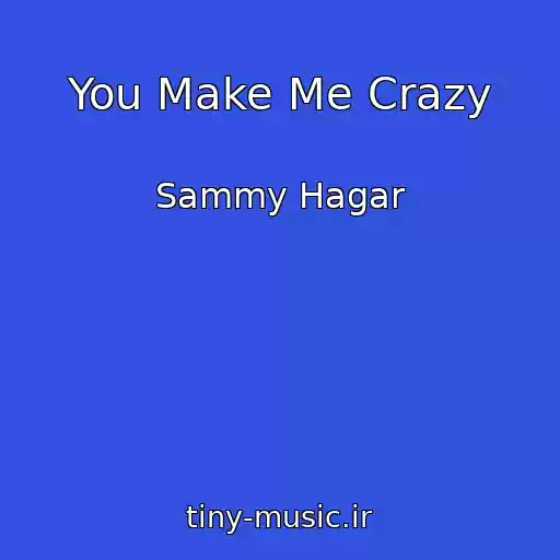 کاور آهنگ You Make Me Crazy از Sammy Hagar