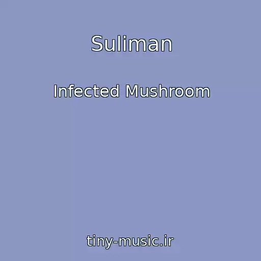 کاور آهنگ Suliman از Infected Mushroom