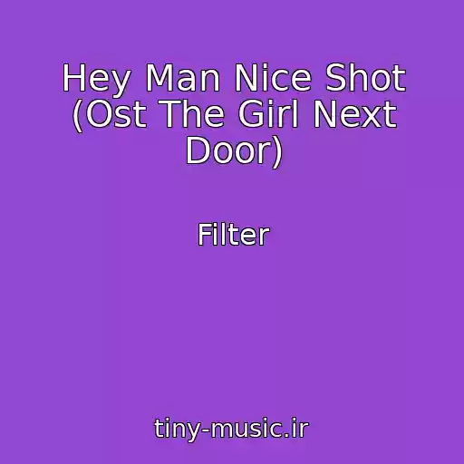 کاور آهنگ Hey Man Nice Shot (Ost The Girl Next Door) از Filter
