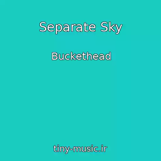 کاور آهنگ Separate Sky از Buckethead