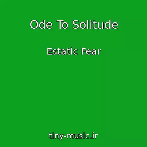 کاور آهنگ Ode To Solitude از Estatic Fear