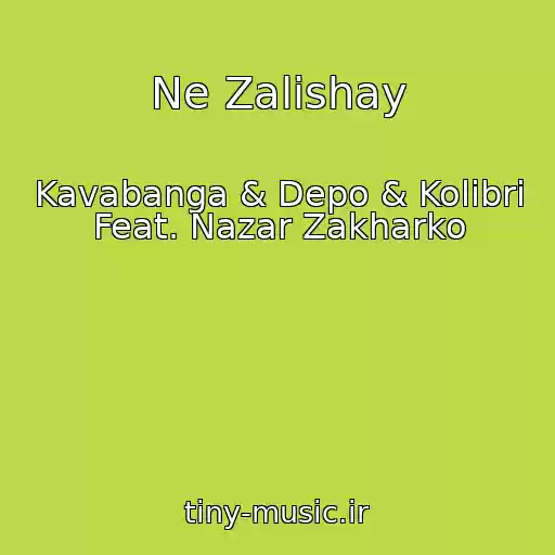 کاور آهنگ Ne Zalishay از Kavabanga & Depo & Kolibri Feat. Nazar Zakharko