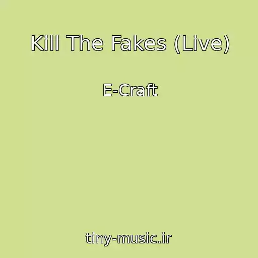 کاور آهنگ Kill The Fakes (Live) از E-Craft