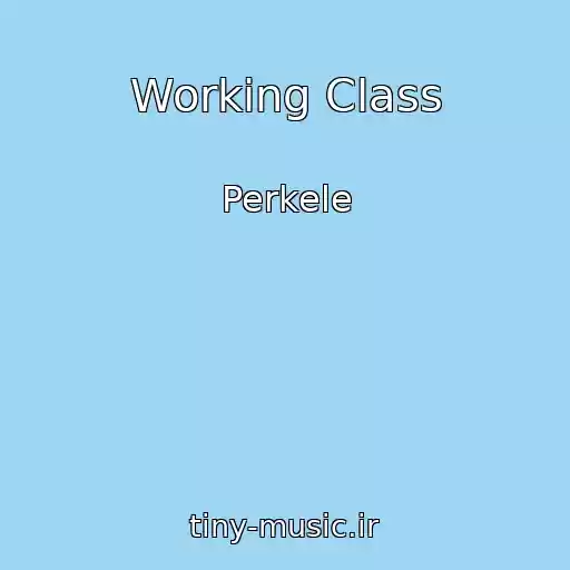 کاور آهنگ Working Class از Perkele