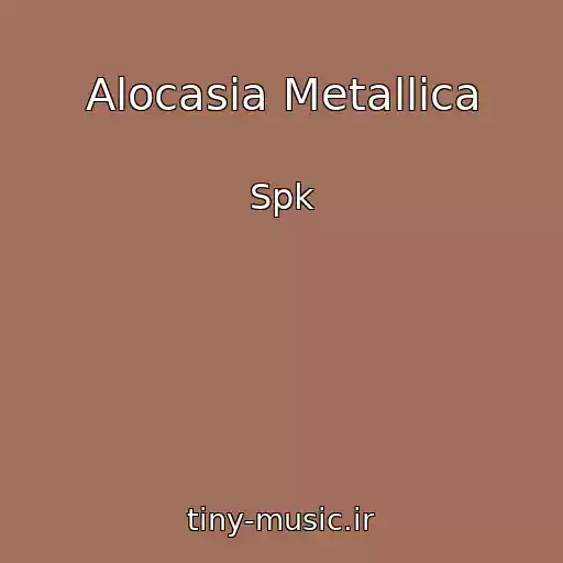 کاور آهنگ Alocasia Metallica از Spk
