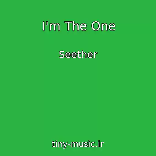کاور آهنگ I'm The One از Seether
