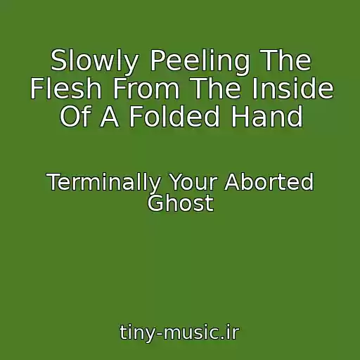 کاور آهنگ Slowly Peeling The Flesh From The Inside Of A Folded Hand از Terminally Your Aborted Ghost
