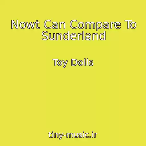 کاور آهنگ Nowt Can Compare To Sunderland از Toy Dolls
