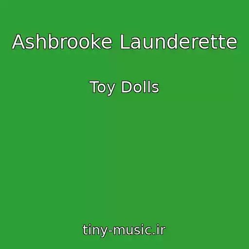 کاور آهنگ Ashbrooke Launderette از Toy Dolls
