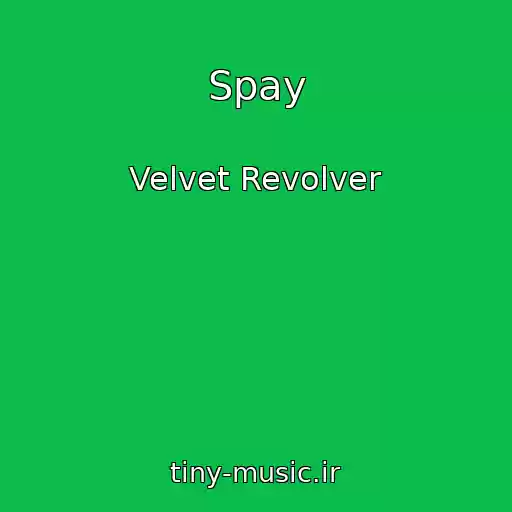 کاور آهنگ Spay از Velvet Revolver