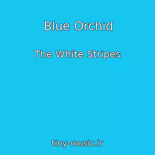 کاور آهنگ Blue Orchid از The White Stripes